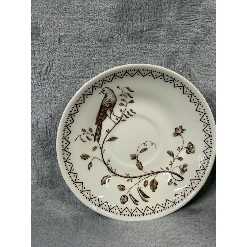 Wedgwood Williamsburg Aviary‎ Teacup Saucer Set Ivory Brown Birds England - Picture 4 of 14